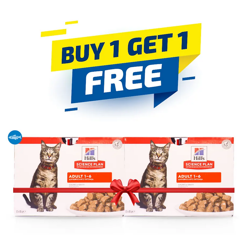 Hill's Science Plan Adult Wet Cat Food Ocean Fish Pouches 85gx12